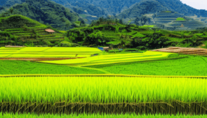 Çeltik Kök Faresi ile Mücadele Yöntemleri ve Önlemler